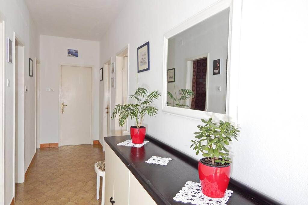 Apartment Eli 帕格 外观 照片